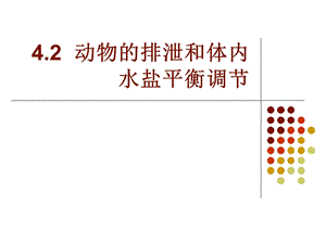 动物的排泄和体内水盐平衡.ppt