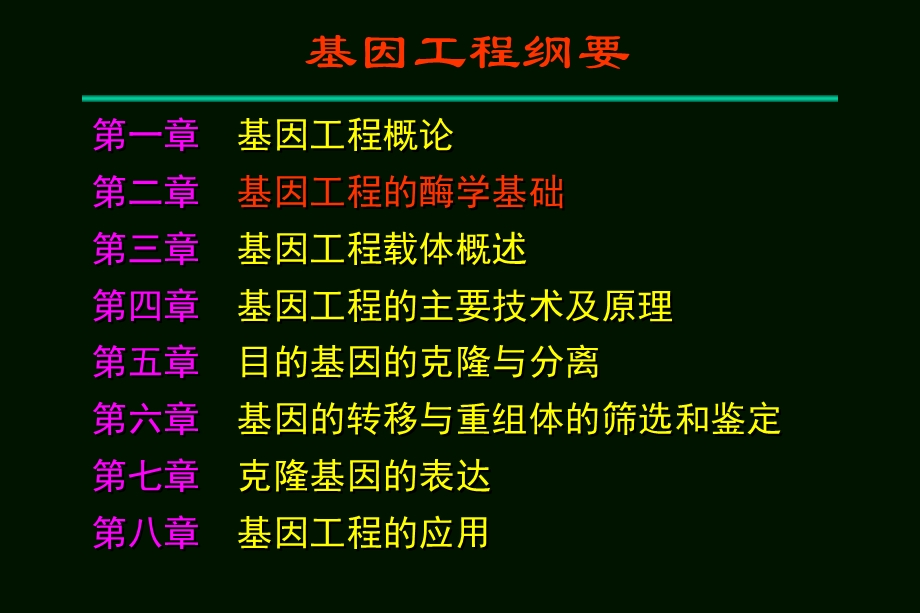 基因工程的酶学基础.ppt_第2页