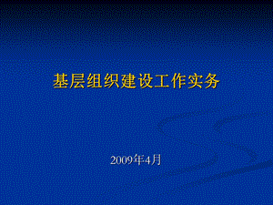 基层组织建设工作实务.ppt