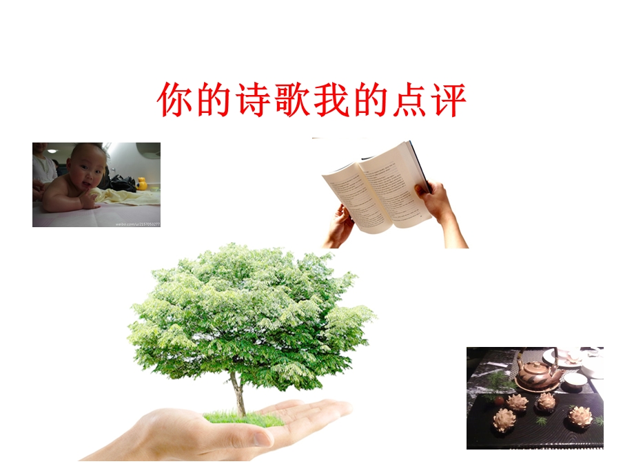 你的诗歌我的点评.ppt_第1页