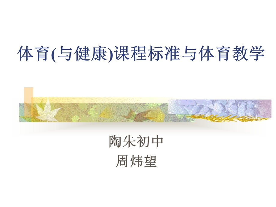 体育(与健康)课程标准与体育教学.ppt_第1页