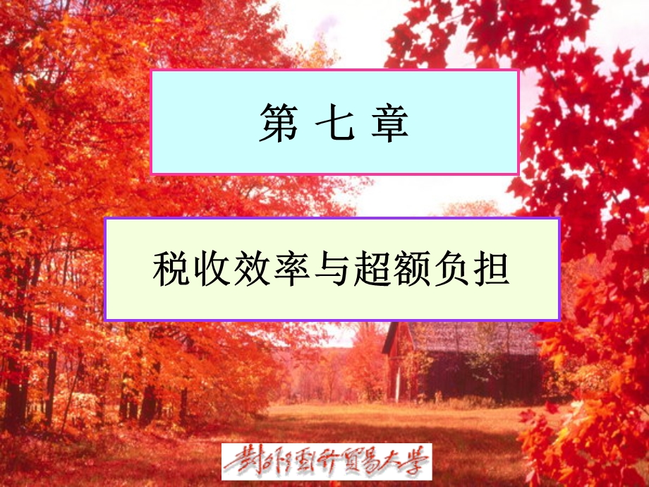 第七章税收效率与超额负担.ppt_第1页