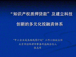 知识产权质押贷款及建立科技创新多元化投融资体系.ppt