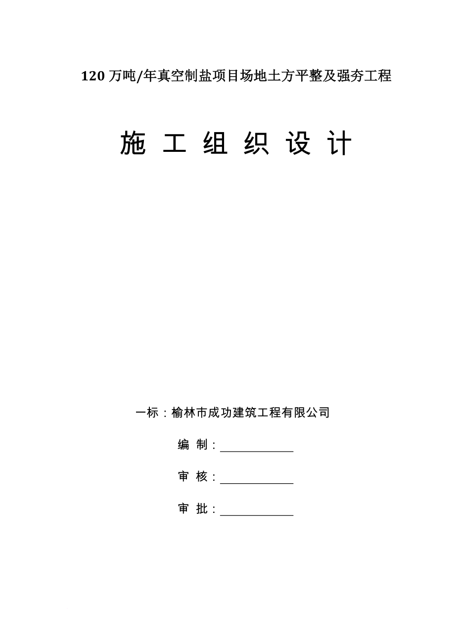 120万吨年真空制盐项目场地土方平整及强夯工程施工组织设计.doc_第1页