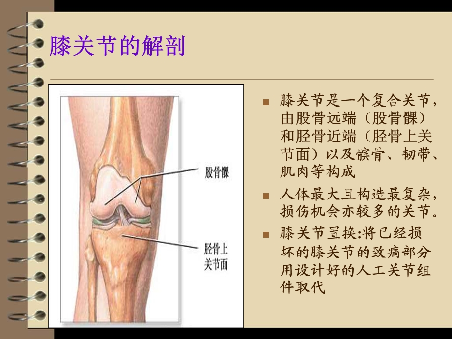 人工全膝关节置换术后护理.ppt_第2页