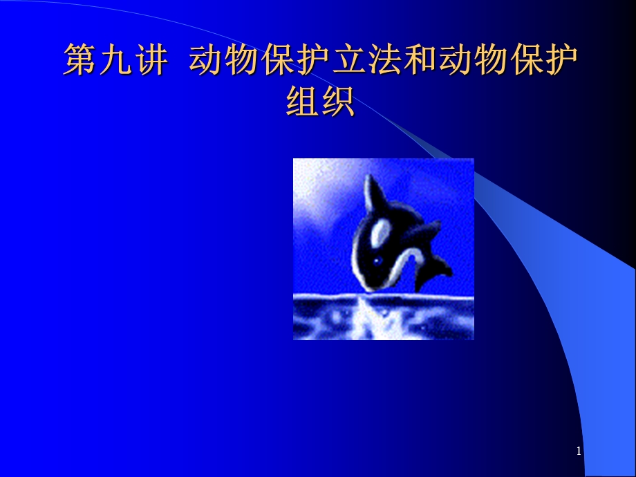 动物保护立法和动物保护组织.ppt_第1页