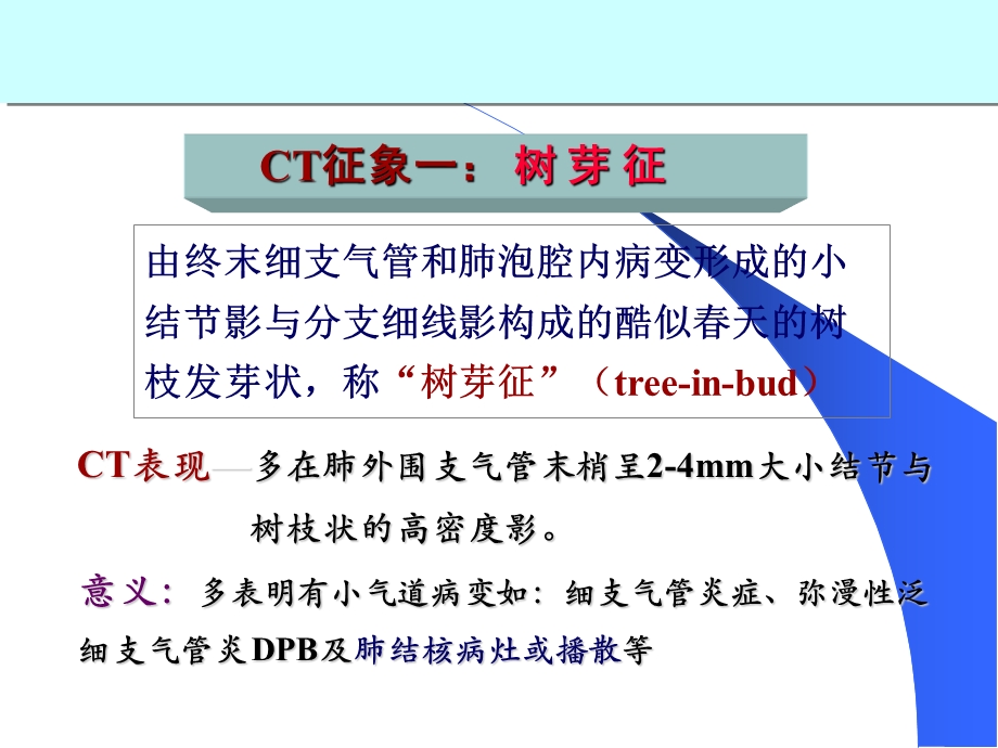 医学ppt肺部ct征象.ppt_第3页