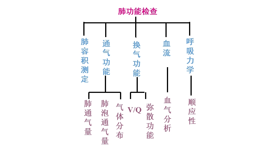 肺功能检查ppt课件.ppt_第3页