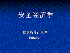 安全经济学第二章.ppt