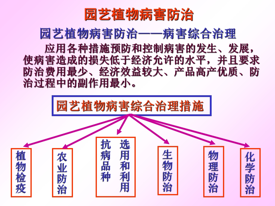 园艺植物病害防治.ppt_第2页