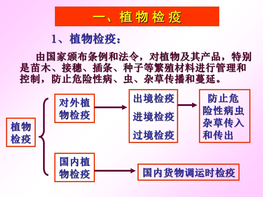 园艺植物病害防治.ppt_第3页