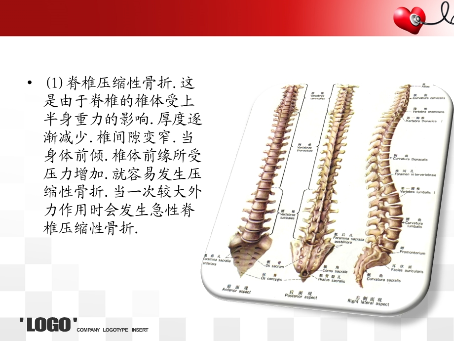 公休座谈会骨科护理 ppt课件.ppt_第3页