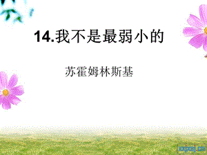 公开课14、我不是最弱小的.ppt