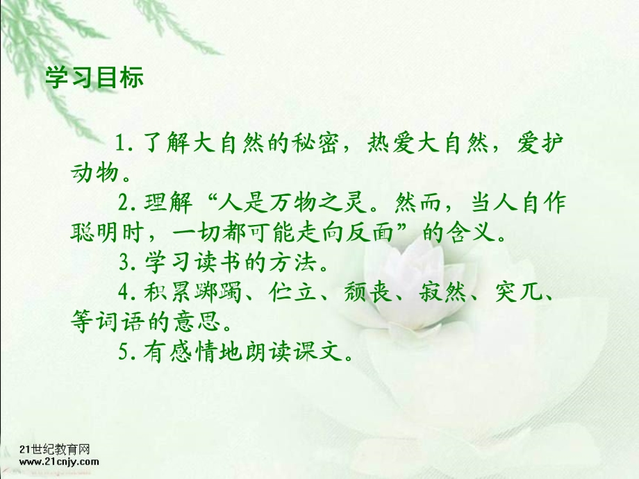 北师大版第十二册大自然的秘密PPT课件.ppt_第2页