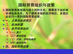 国际贸易组织与政策.ppt