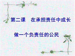 做一个负责任的公民 .ppt