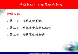 产业组织：定价策略和行为.ppt