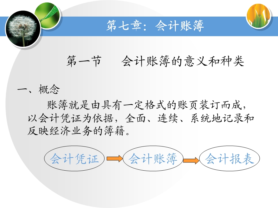 会计账簿的意义和种类.ppt_第1页