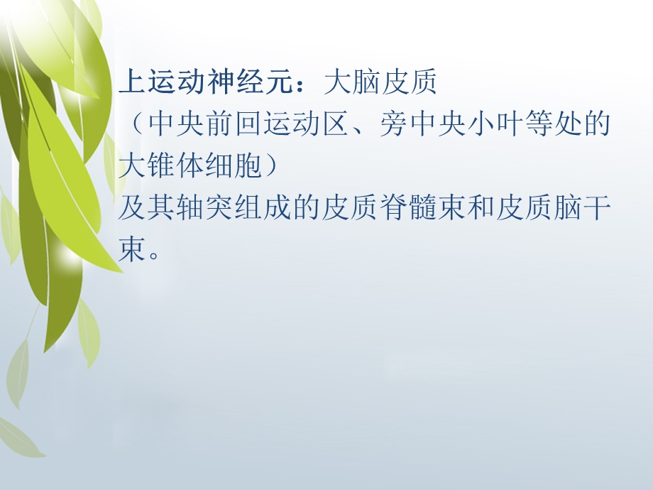 傅健介绍：上下运动神经元的特点.ppt_第2页