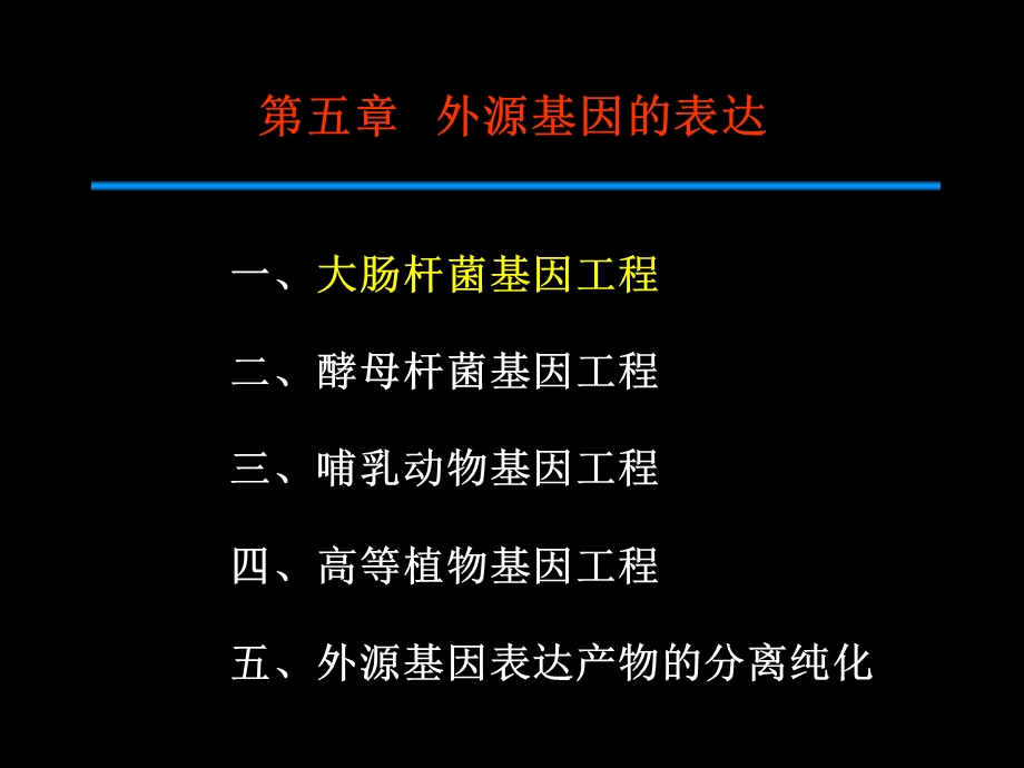 大肠杆菌基因工程.ppt_第2页