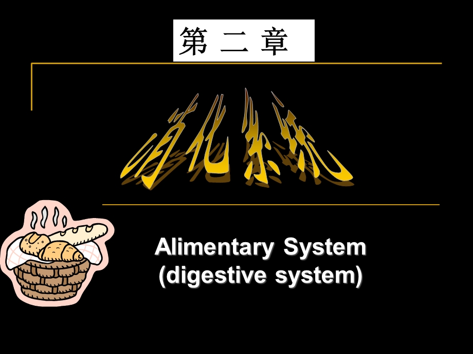 人体解剖5.消化系统-消化管.ppt_第1页