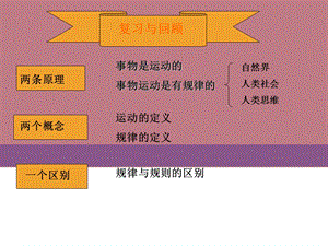 哲学中职能动自觉与自强不息.ppt