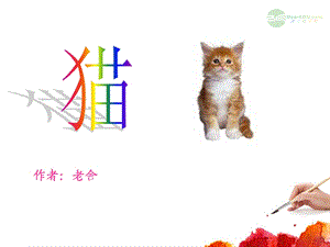 五年级语文上册猫5课件北京版.ppt