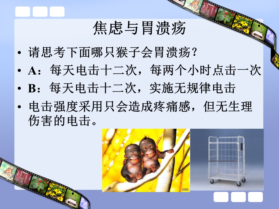 压力管理与幸福感提升.ppt_第3页