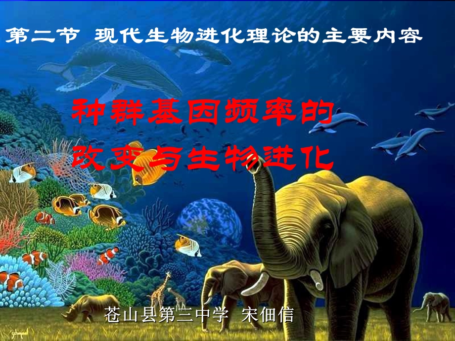 人教版教学课件现代生物进化理论的主要内容.ppt_第1页