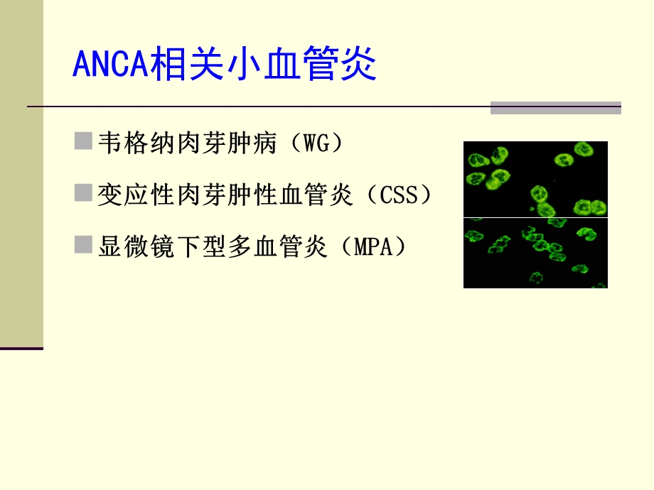 内科学课件anca相关性血管炎治疗进展.ppt_第2页