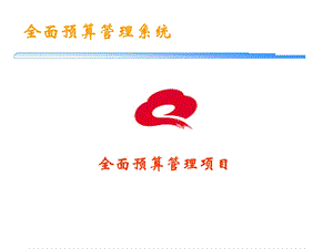 全面预算管理项目.ppt