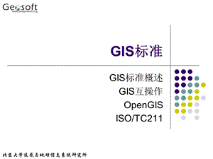 地理信息系统原理(高勇)18gis标准.ppt