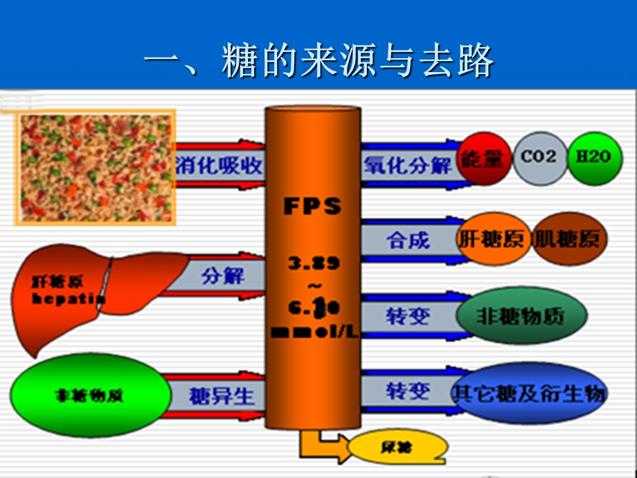 葡萄糖代谢紊乱.ppt_第2页