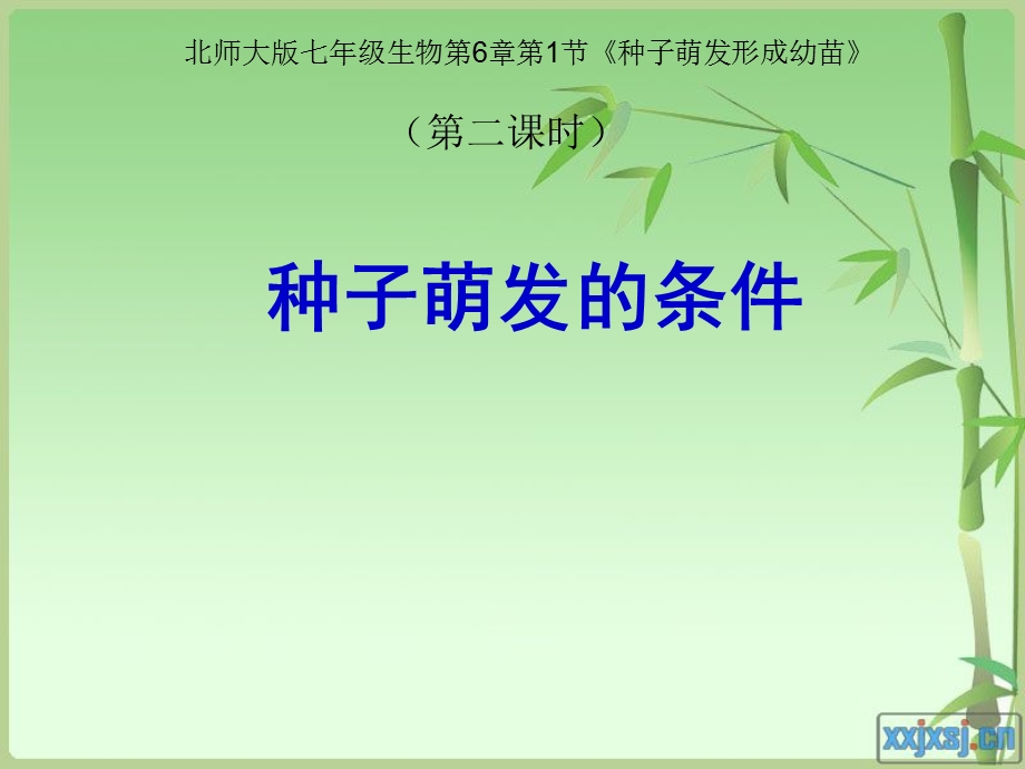 北师大版七年级生物第6章《种子萌发的条件》.ppt_第2页