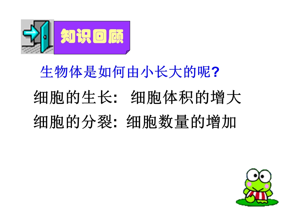 动物体的结构层次讲.ppt_第1页