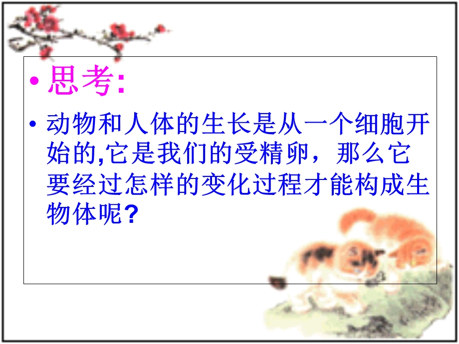 动物体的结构层次讲.ppt_第2页