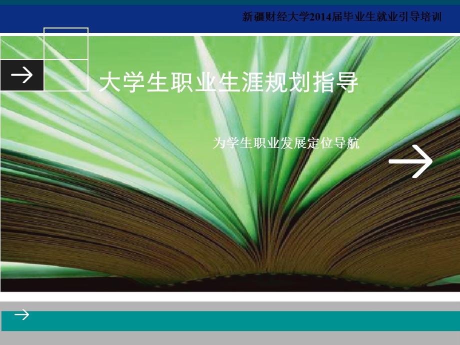 大学生职业生涯规划指导.ppt_第1页