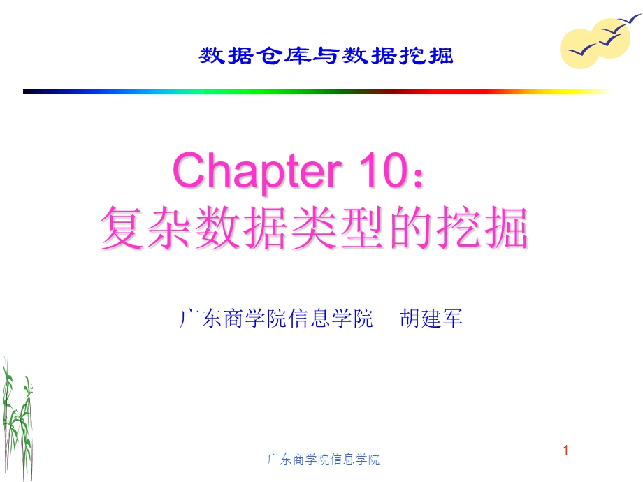 复杂数据类型的挖掘.ppt_第1页