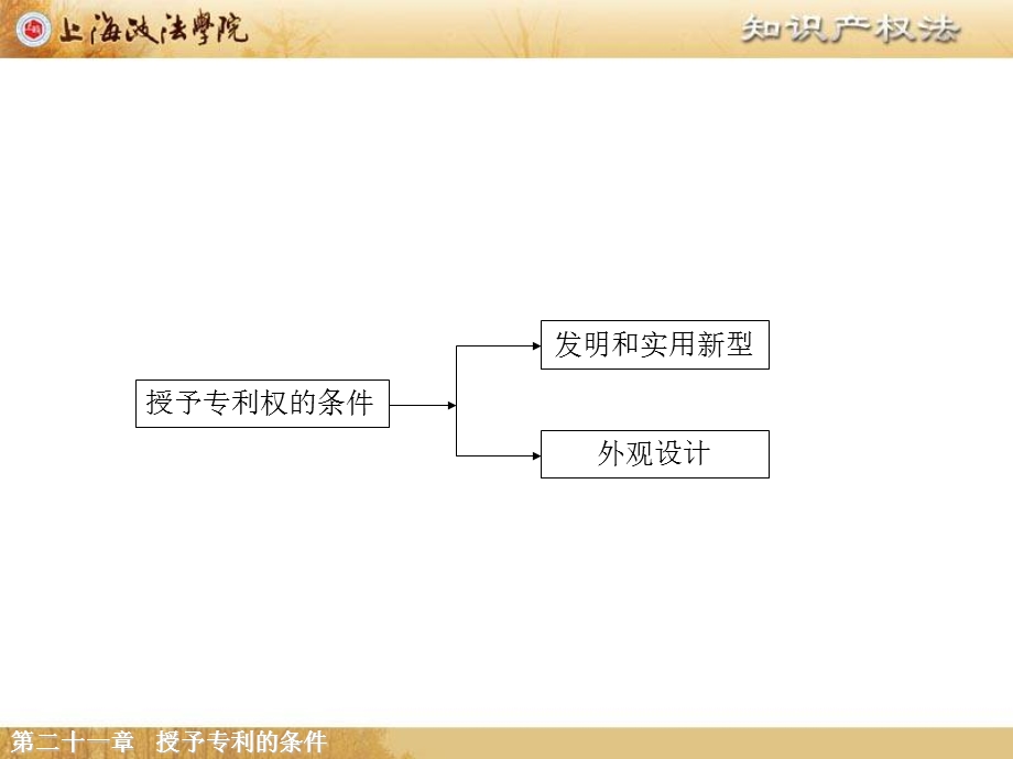 知识产权法第二十一章授予专利的条件.ppt_第2页