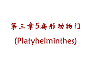 第三章5扁形动物门.ppt