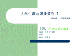 大学生涯与职业策划书.ppt