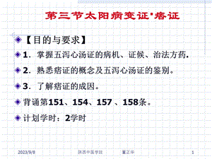 太阳病变证痞证上热下寒证.ppt