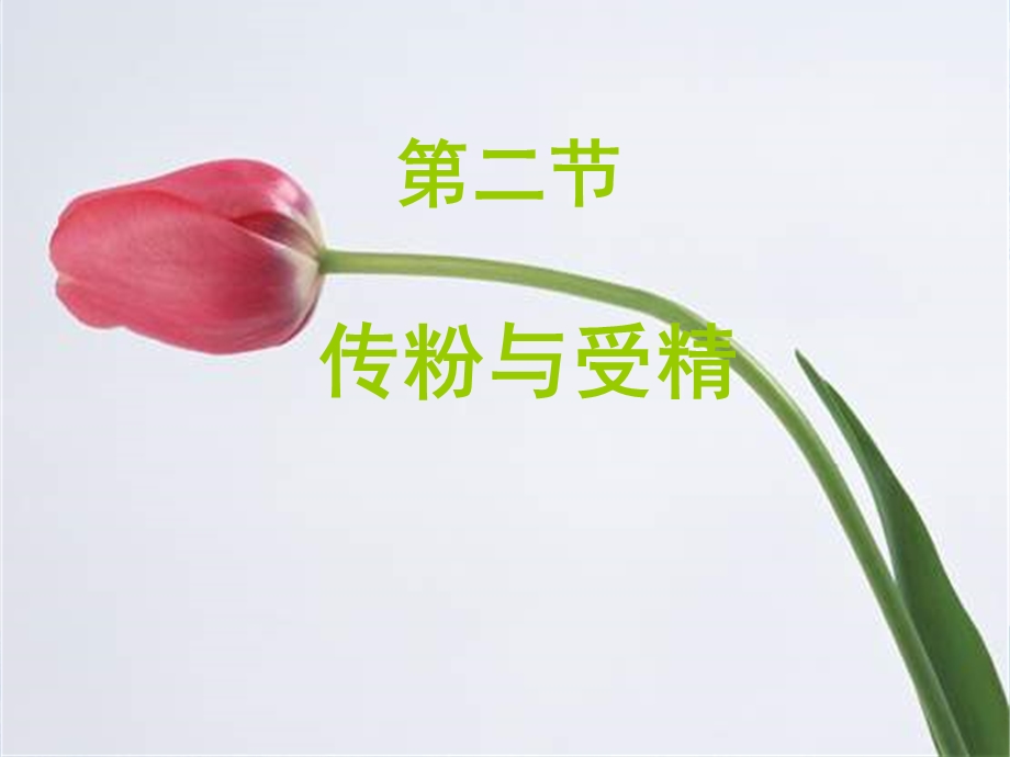 八年级生物传粉和受精.ppt_第1页