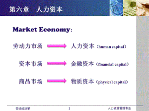 劳动经济学课件(全)第六章人力资本.ppt