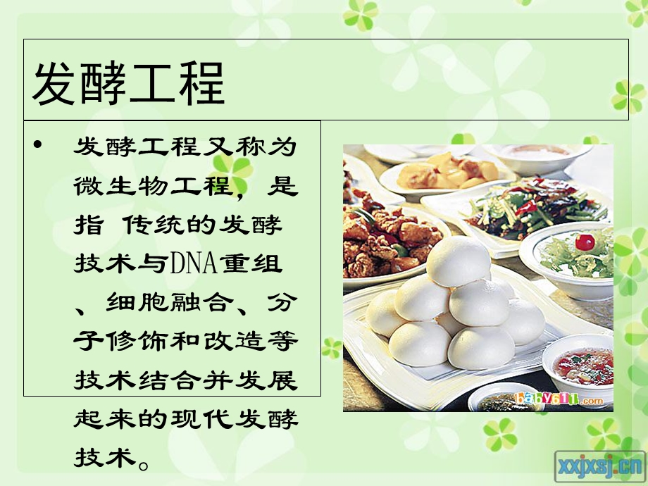 发酵工程在食品工程中的应用.ppt_第2页