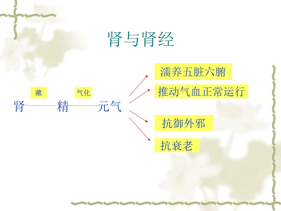 十四经络之肾膀胱.ppt_第3页