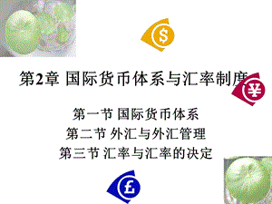 国际货币体系与汇率制度.ppt