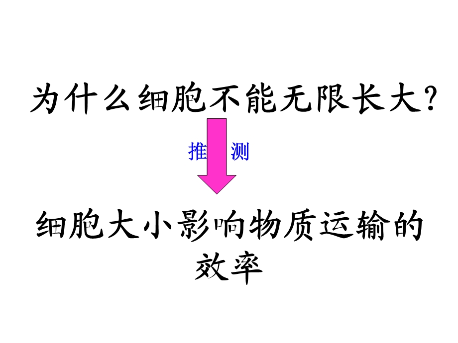 实验探究细胞大小与物质运输的关系.ppt_第2页