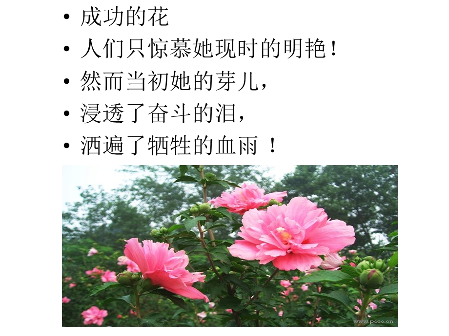 咏物哲理诗的写作.ppt_第2页