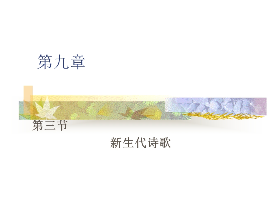 第九章第三节新生代诗歌.ppt_第1页